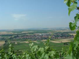 Rehn Gau-Bickelheim
