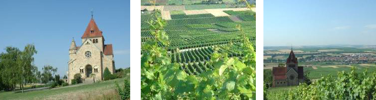 Urlaub in Gau-Bickelheim, Rheinhessen, Weingut Rehn