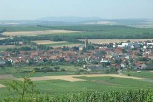 Urlaub in Rheinhessen